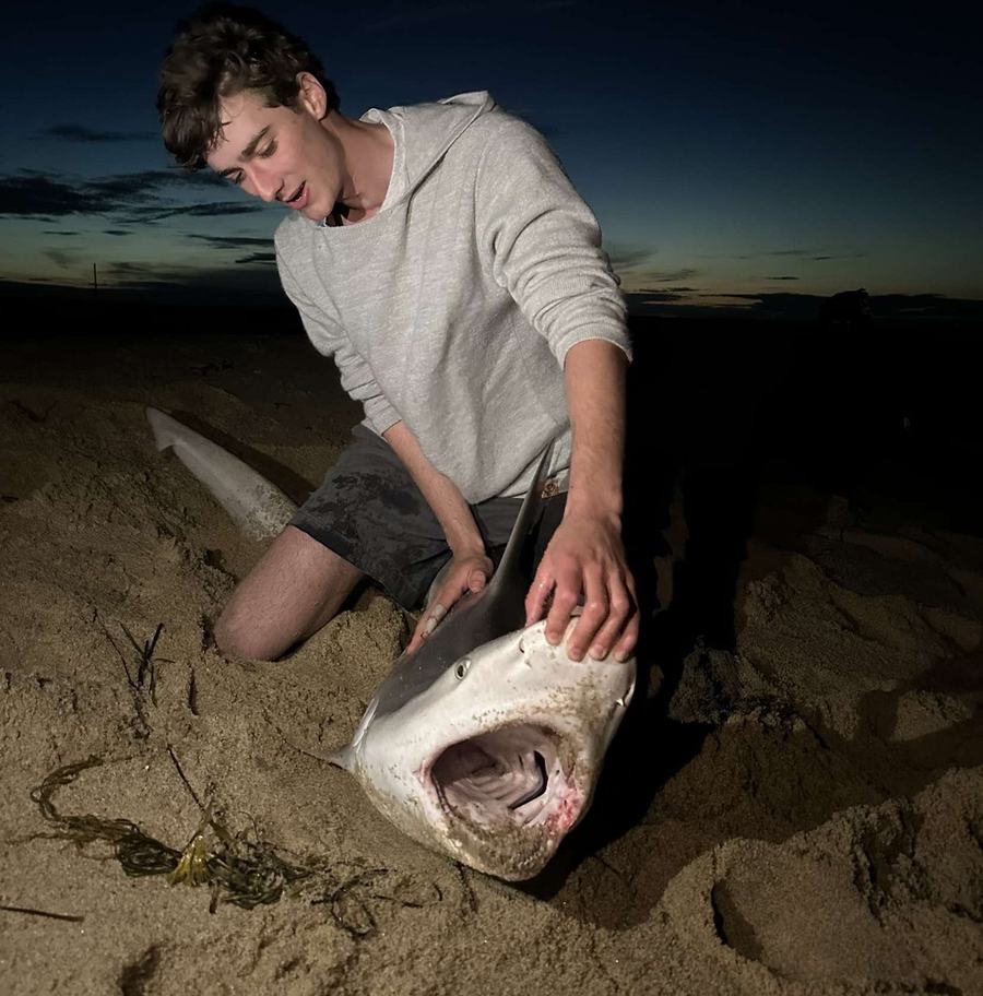 Quinn Littlefield shark fishing on Martha's Vineyard